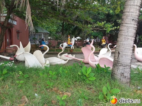 50 ����: ������� 1-4  ������ 2017 ����