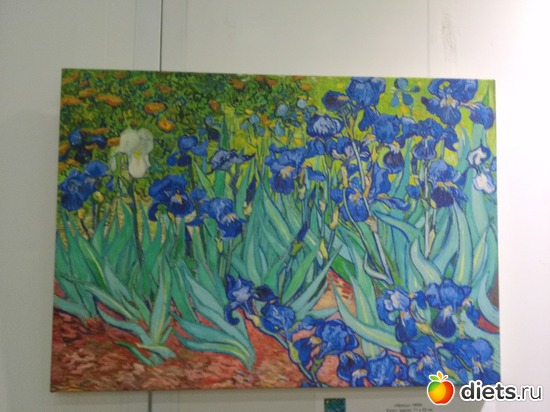 4 ����: 2017