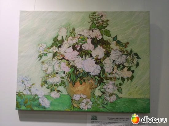 5 ����: 2017