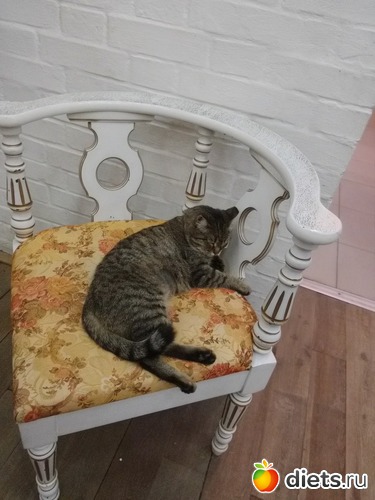 9 ����: 2017