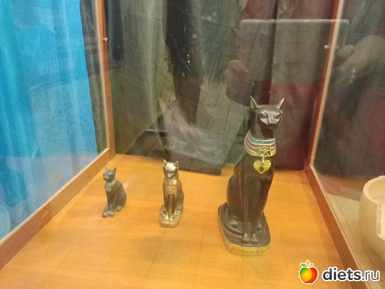 12 ����: 2017