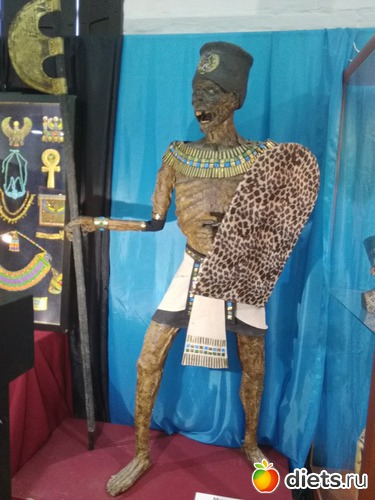 18 ����: 2017