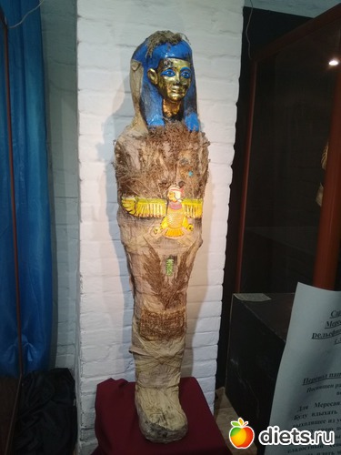 19 ����: 2017