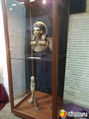 20 ����: 2017