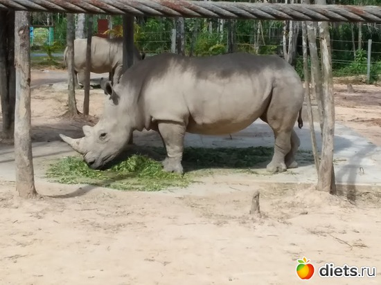 5 ����: ���� ����������� �� �������