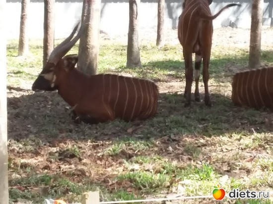 6 ����: ���� ����������� �� �������