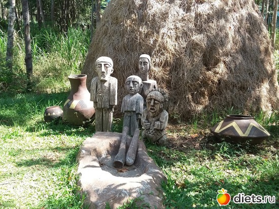 7 ����: ���� ����������� �� �������