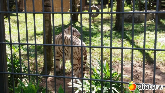 8 ����: ���� ����������� �� �������