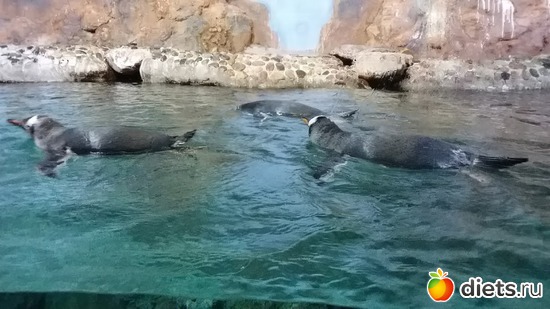 10 ����: ���� ����������� �� �������