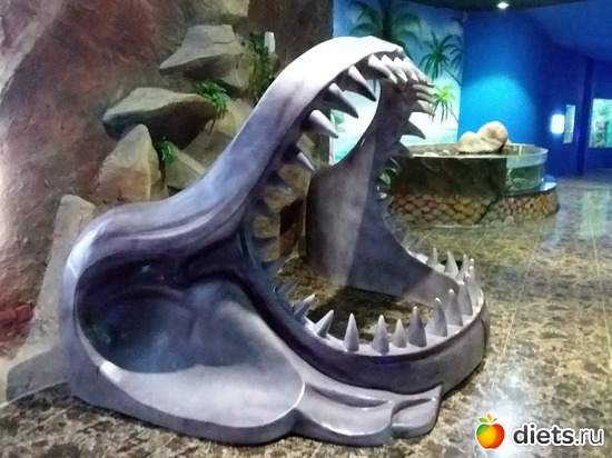 11 ����: ���� ����������� �� �������