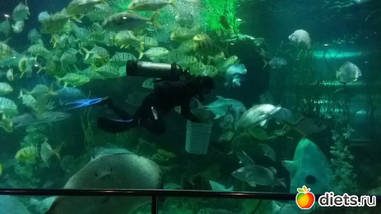 12 ����: ���� ����������� �� �������