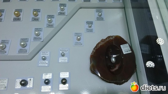 56 ����: ������� 1-4  ������ 2017 ����