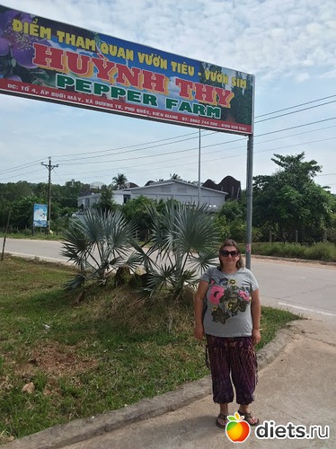 ��������� �����, ������: ������� 1-4  ������ 2017 ����