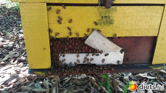 63 ����: ������� 1-4  ������ 2017 ����