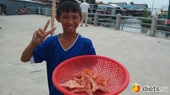 65 ����: ������� 1-4  ������ 2017 ����