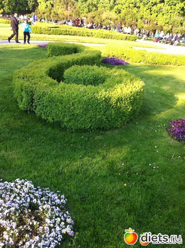 4 ����: �� ������ � ������ ����.  ���� 2016