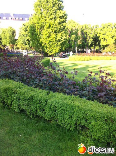 5 ����: �� ������ � ������ ����.  ���� 2016