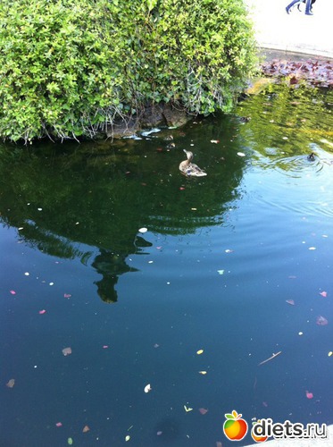 7 ����: �� ������ � ������ ����.  ���� 2016