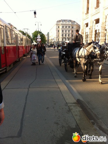 9 ����: �� ������ � ������ ����.  ���� 2016