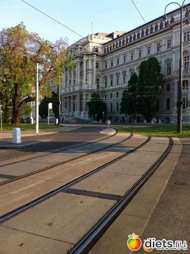 11 ����: �� ������ � ������ ����.  ���� 2016