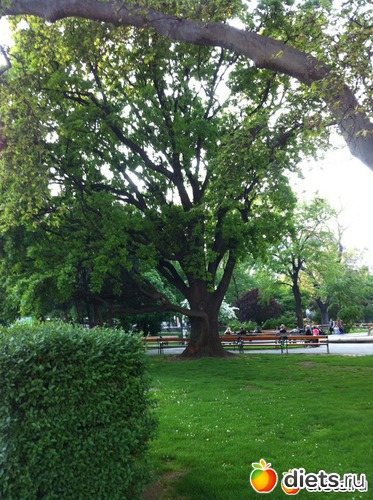 14 ����: �� ������ � ������ ����.  ���� 2016