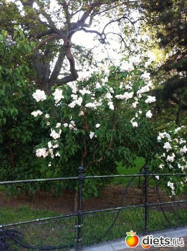 15 ����: �� ������ � ������ ����.  ���� 2016