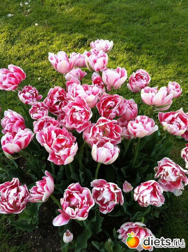 17 ����: �� ������ � ������ ����.  ���� 2016