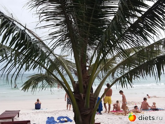 76 ����: ������� 1-4  ������ 2017 ����