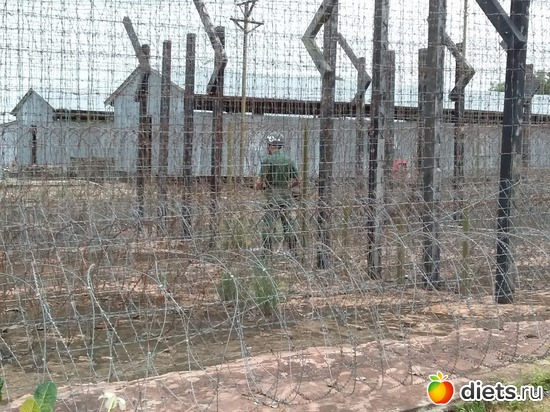 79 ����: ������� 1-4  ������ 2017 ����