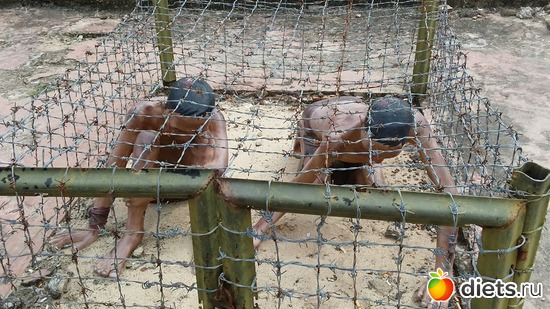 80 ����: ������� 1-4  ������ 2017 ����