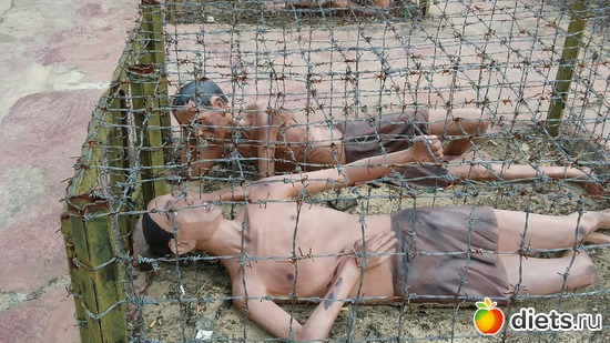 81 ����: ������� 1-4  ������ 2017 ����