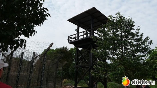 85 ����: ������� 1-4  ������ 2017 ����