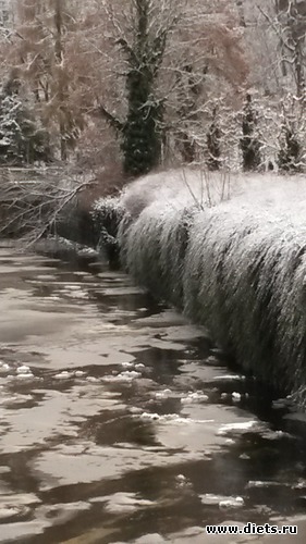 ������� ����,����� �����, ������: ��� ���� � ������� ����