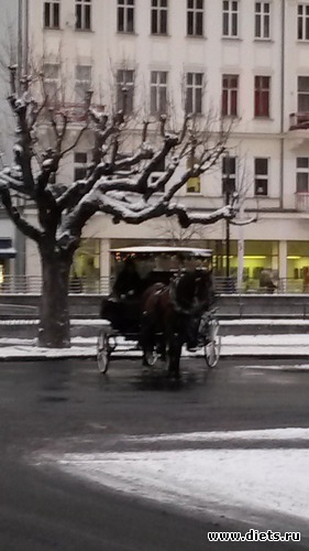 5 ����: ��� ���� � ������� ����