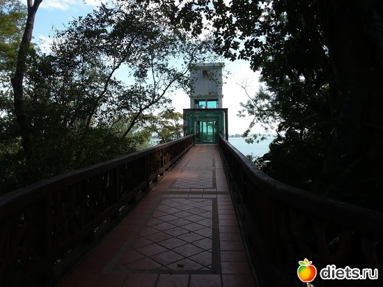 9 ����: ����������� �����