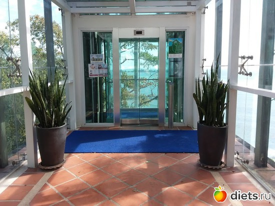 11 ����: ����������� �����