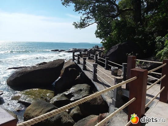 12 ����: ����������� �����