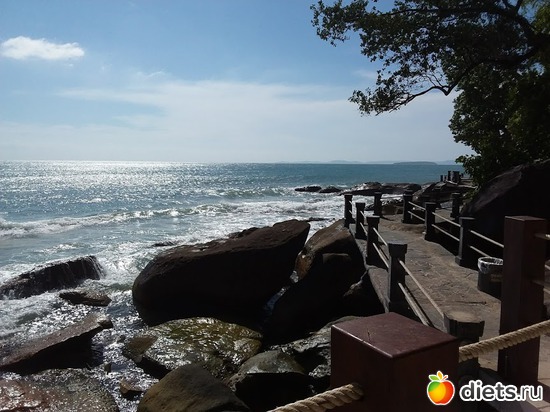 16 ����: ����������� �����