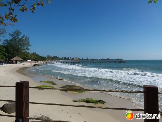 19 ����: ����������� �����