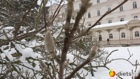 52 ����: ��� ����� �...� ��� �����...