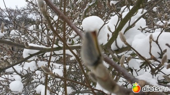 53 ����: ��� ����� �...� ��� �����...