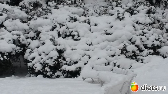 57 ����: ��� ����� �...� ��� �����...