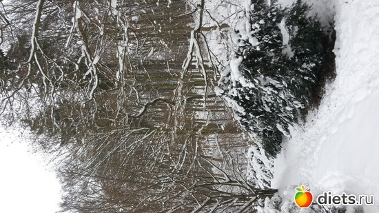 21 ����: ��� ���� � ������� ����