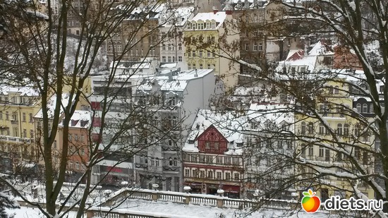 23 ����: ��� ���� � ������� ����