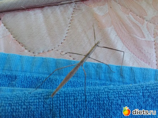 26 фото: Разное