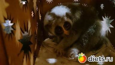 ��� ��������