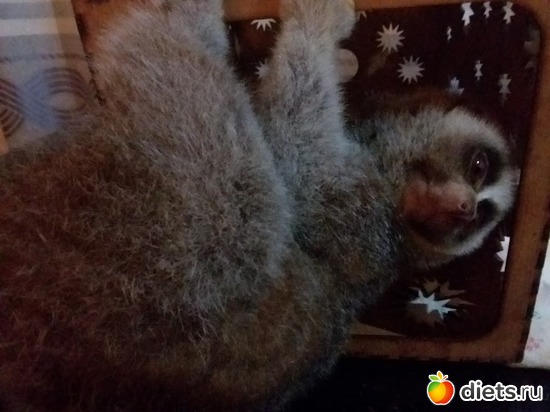 11 ����: ��� ��������