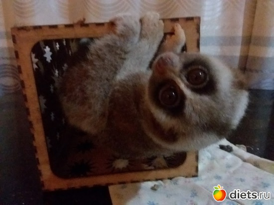 12 ����: ��� ��������