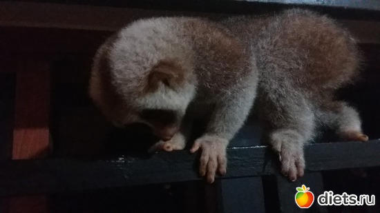 14 ����: ��� ��������