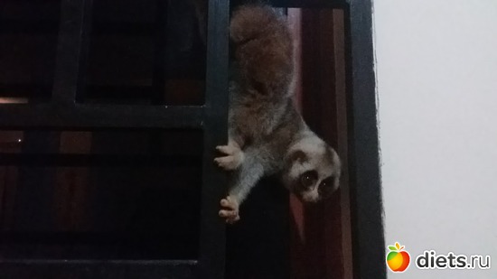 15 ����: ��� ��������